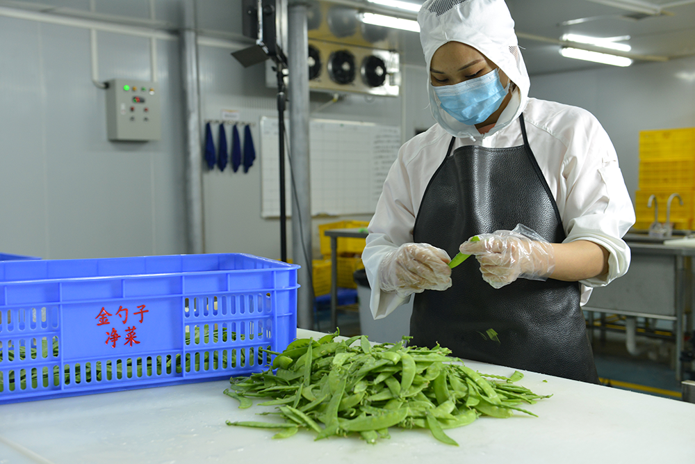 凈菜加工工藝 (8).png