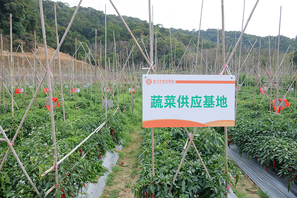 一站式食材采購，暢享便捷美食之旅.png