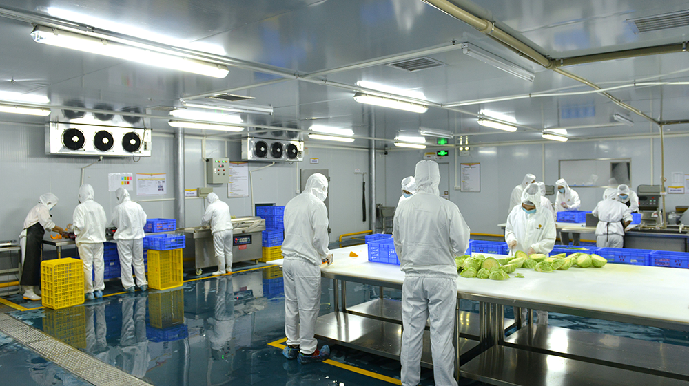 生鮮供應(yīng):食品安全與效率的雙重挑戰(zhàn).png